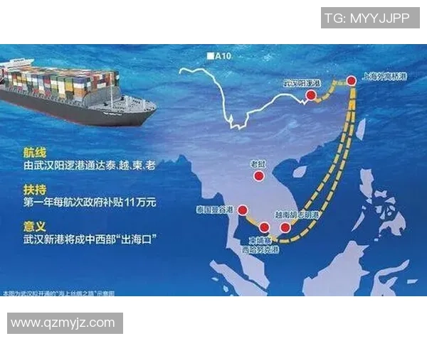 武汉羽毛球队选拔赛特别报道：奋勇拼搏铸就辉煌突破之路